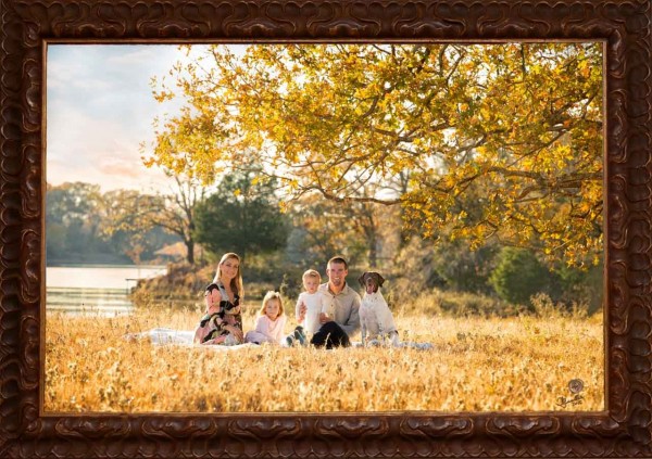 A scenic studio portrait created by Isabelle Guillen in Plano, T A scenic studio portrait created by Isabelle Guillen in Plano, T